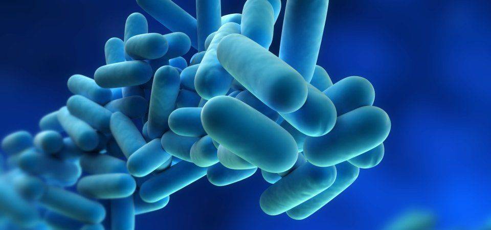LEGIONELLA-960x450-960w